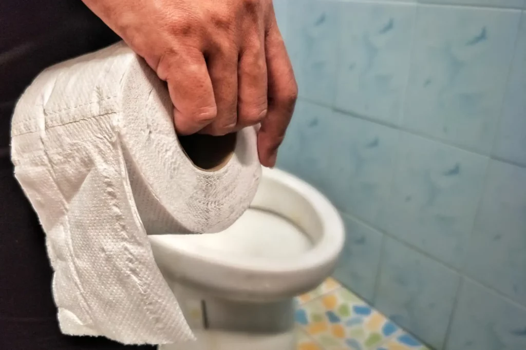 Toilette-verstopft-durch-Klopapier-wird-von-Klempner-Thiele-schnell-wieder-befreit-1024x682